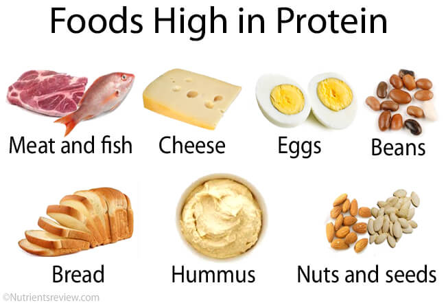 High-protein-foods
